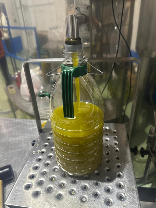 Pack de 3 Garrafas 2L Aceite de Oliva Virgen Extra Picual  – Sin filtrar – Directo de Productor (Málaga)